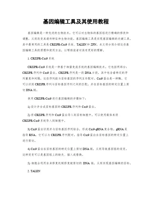 基因编辑工具及其使用教程