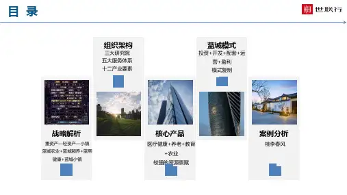 蓝城集团介绍