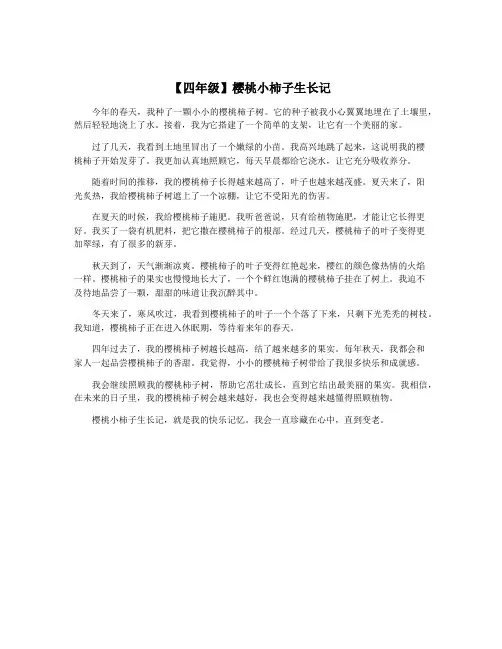 【四年级】樱桃小柿子生长记