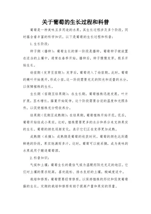关于葡萄的生长过程和科普