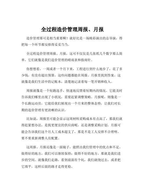 全过程造价管理周报、月报