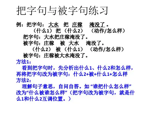 把字句和被字句的练习