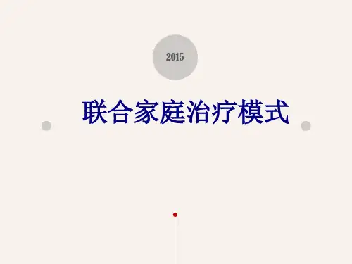 联合家庭治疗模式讲义