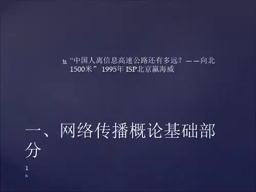 《网络传播学》PPT课件