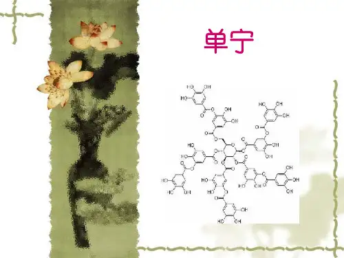 单宁的作用和用途课件