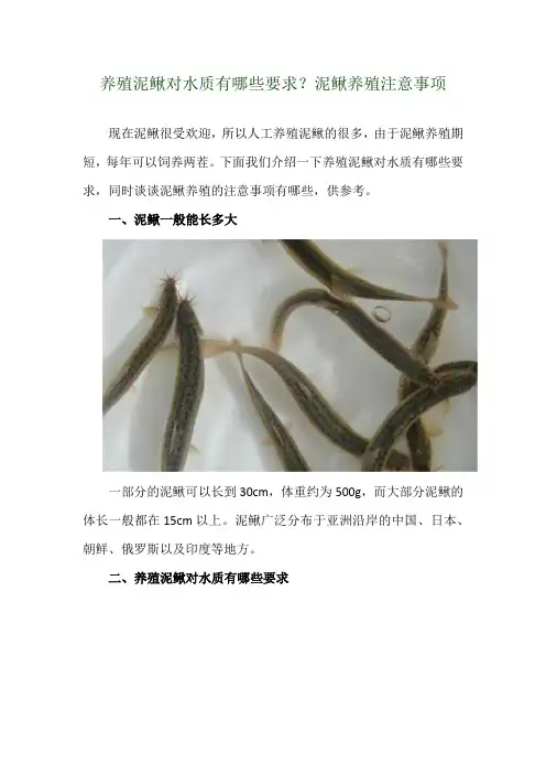 养殖泥鳅对水质有哪些要求？泥鳅养殖注意事项