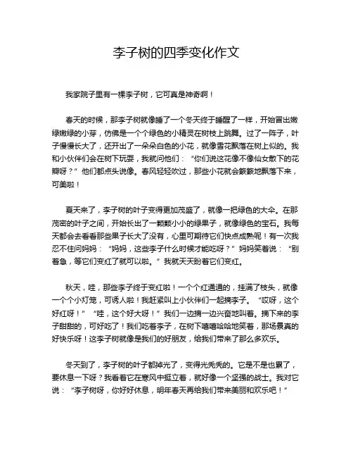 李子树的四季变化作文