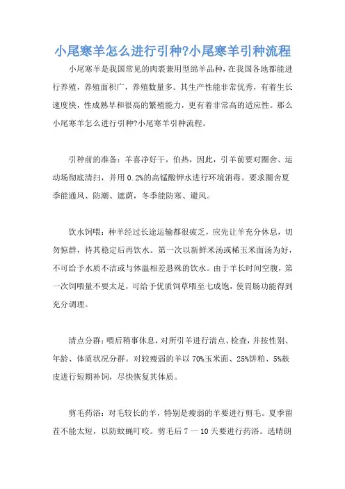 小尾寒羊怎么进行引种-小尾寒羊引种流程