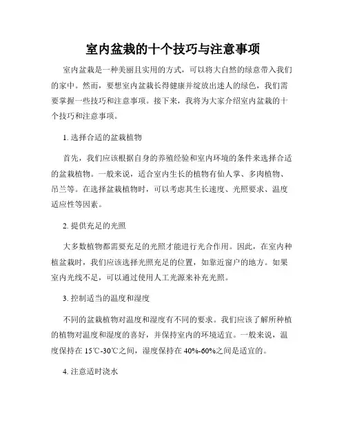室内盆栽的十个技巧与注意事项