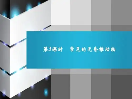 第2章 第4节 第3课时 常见的无脊椎动物