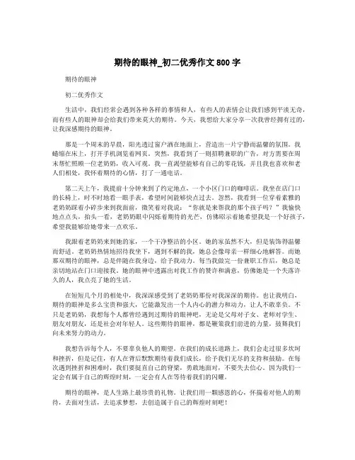 期待的眼神_初二优秀作文800字