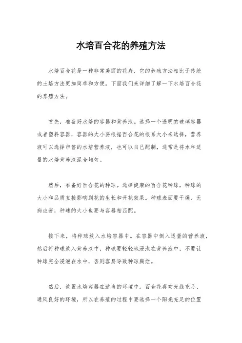 水培百合花的养殖方法