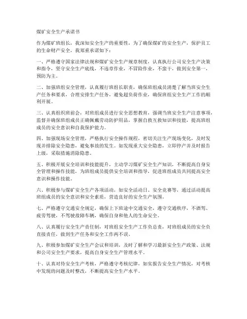 煤矿安全生产承诺书班组长