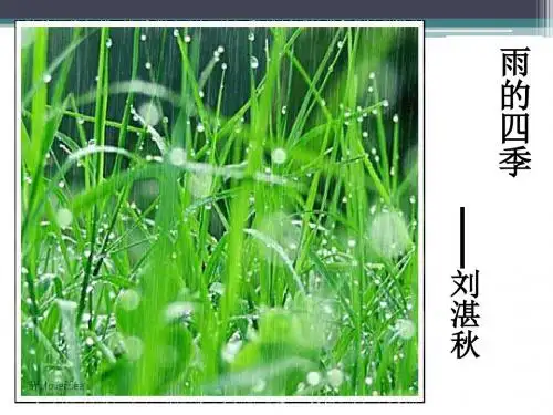 《雨的四季》第二课时课件