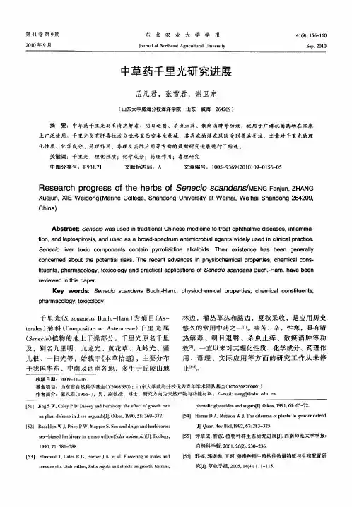 中草药千里光研究进展