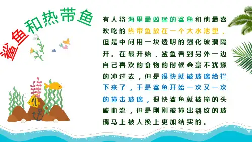 养成良好的行为习惯主题班会PPT专题演示