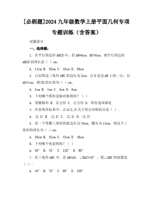 [必刷题]2024九年级数学上册平面几何专项专题训练(含答案)