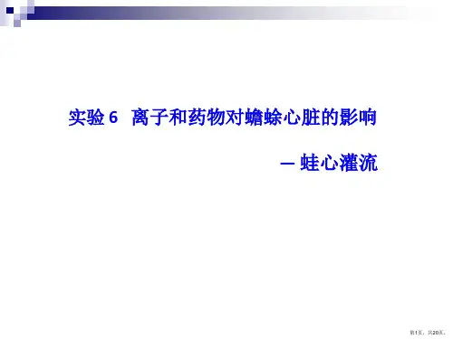 课件蛙心灌流