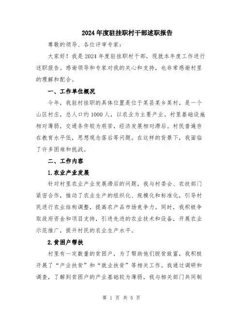 2024年度驻挂职村干部述职报告