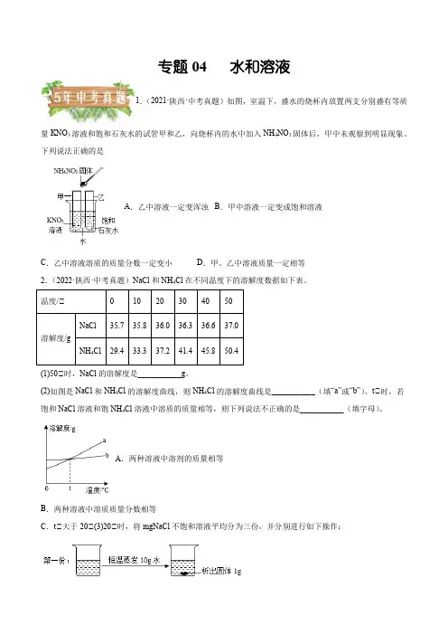 陕西5年(2018-2022)中考真题1年模拟化学分项汇编04 水和溶液练习版