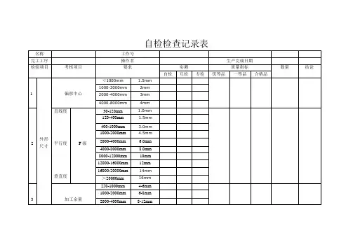 自检检查记录表