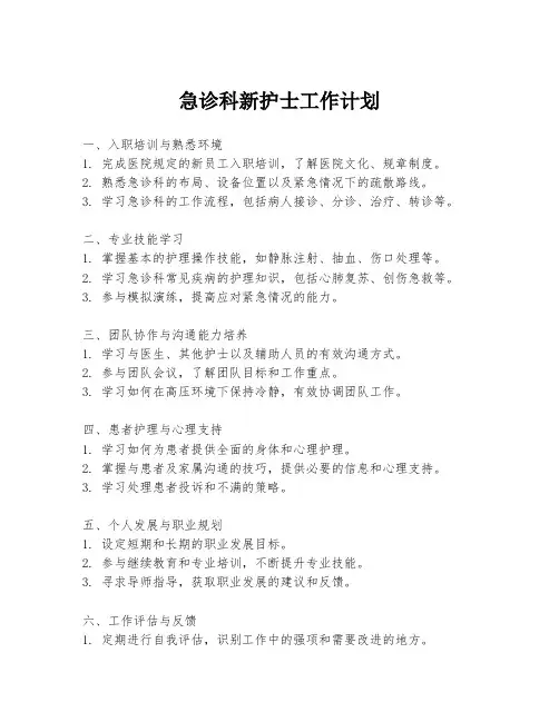 急诊科新护士工作计划