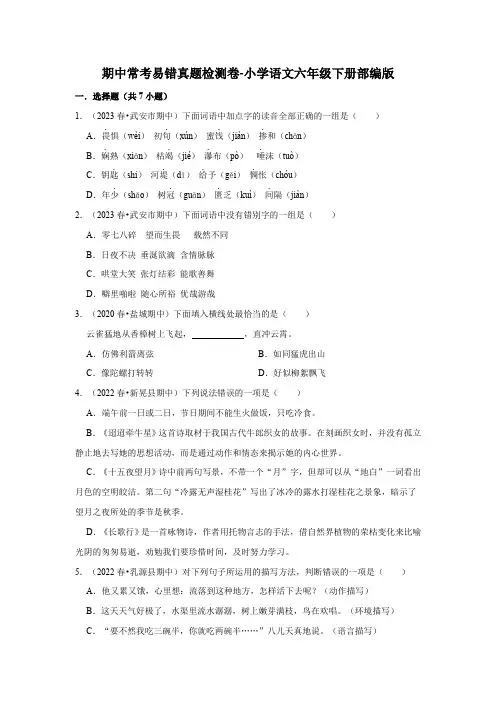 期中常考易错真题检测卷-2022-2023学年语文六年级下册(部编版)