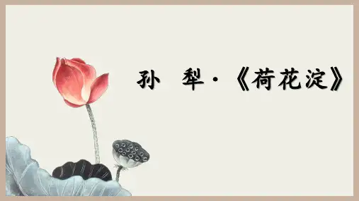 《荷花淀》课件+2024-2025学年统编高中语文选择性必修中册
