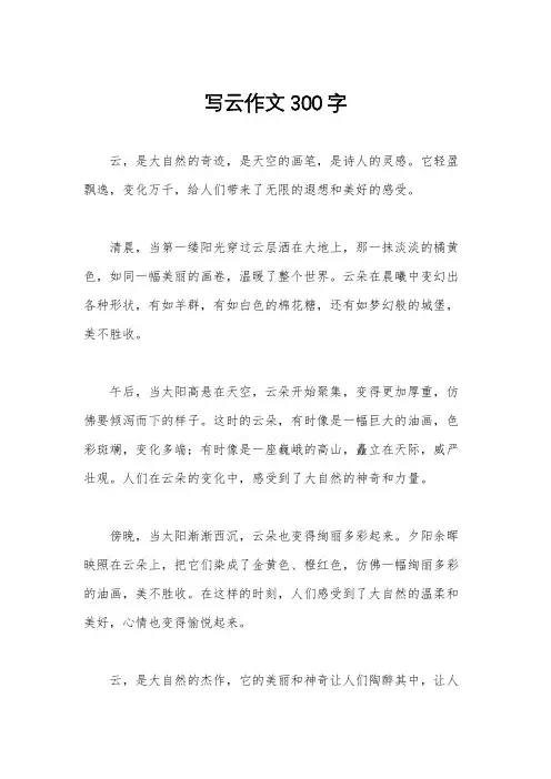 写云作文300字
