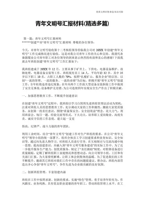 青年文明号汇报材料(精选多篇)
