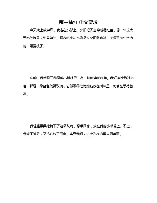 那一抹红 作文要求