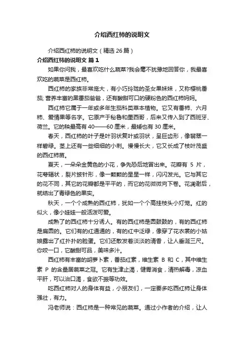 介绍西红柿的说明文（精选26篇）