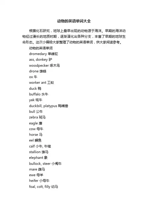 动物的英语单词大全