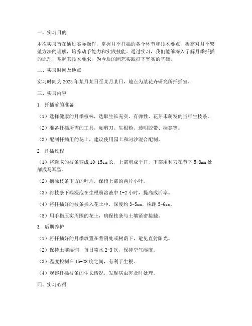 月季扦插实习报告