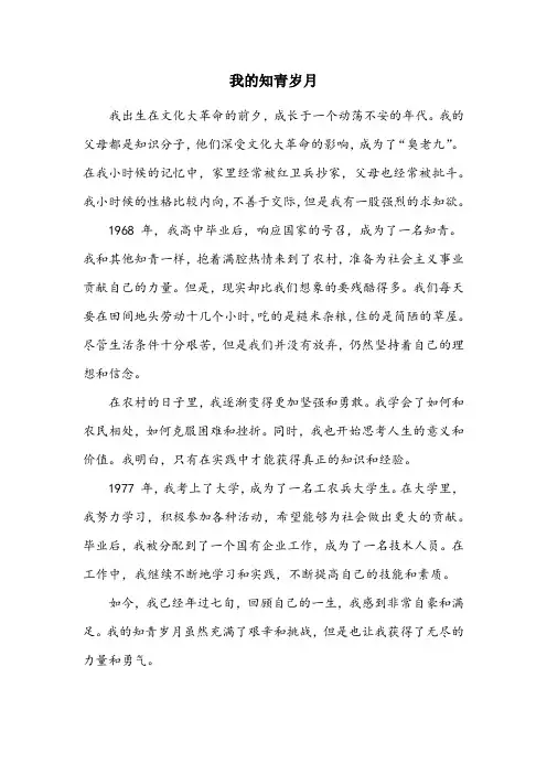 知青回忆录精品范文