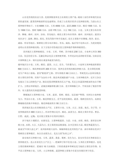 山东农作物种植
