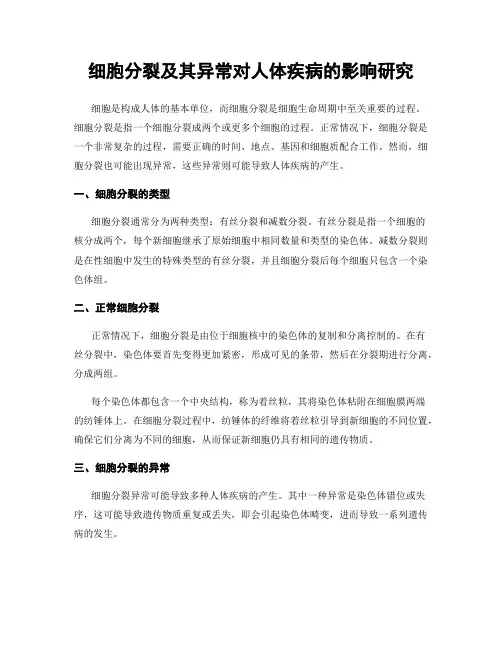 细胞分裂及其异常对人体疾病的影响研究