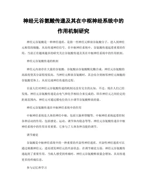 神经元谷氨酸传递及其在中枢神经系统中的作用机制研究