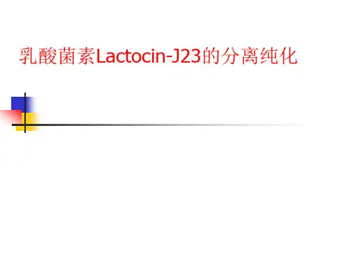 乳酸菌的分离纯化