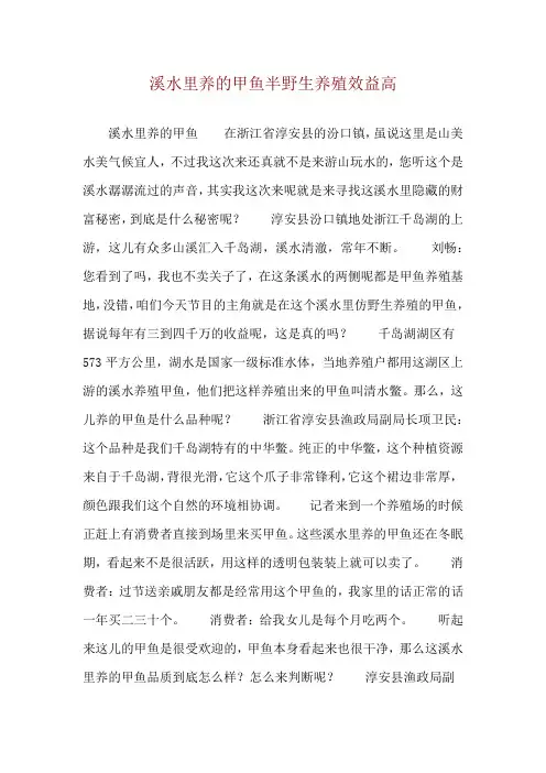 溪水里养的甲鱼半野生养殖效益高