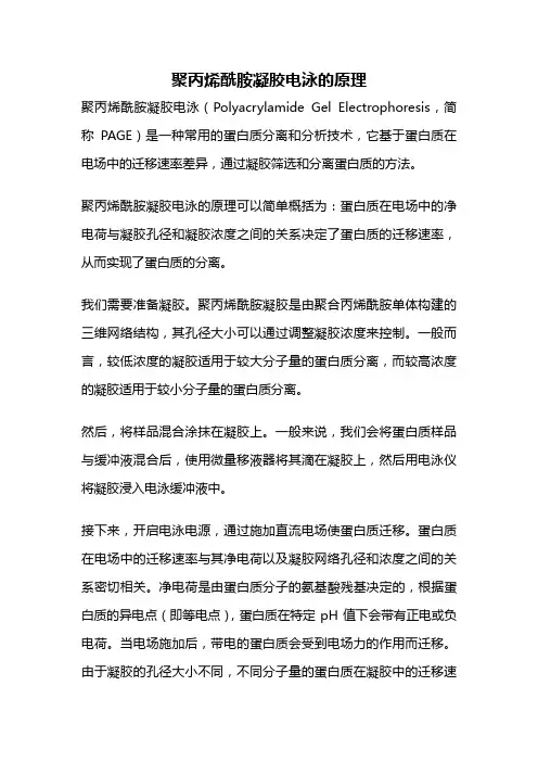 聚丙烯酰胺凝胶电泳的原理
