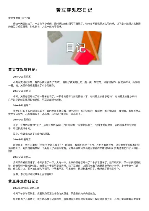 黄豆芽观察日记