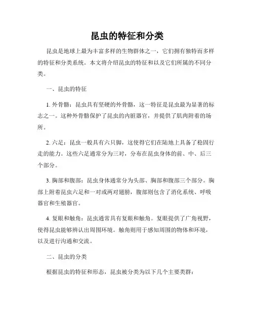 昆虫的特征和分类