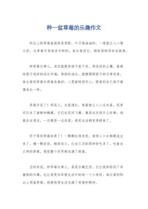种一盆草莓的乐趣作文