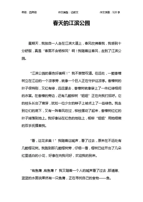 春天的江滨公园作文【小学四年级500字】