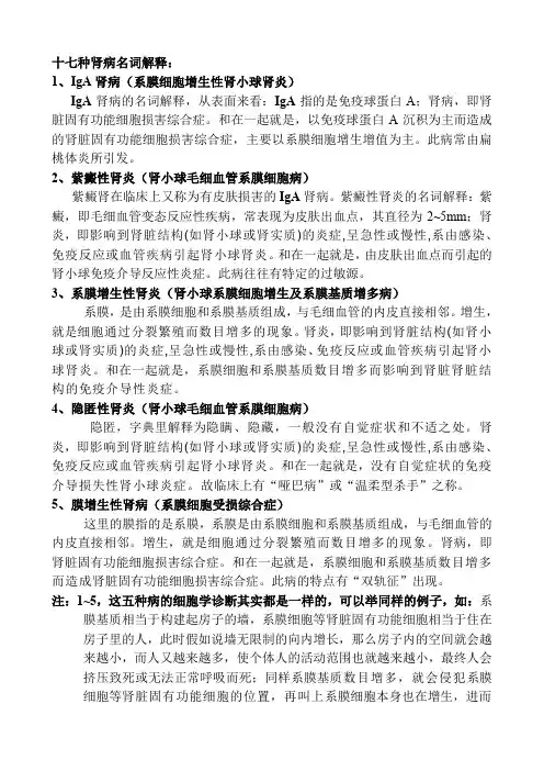 17种肾病的名词解释