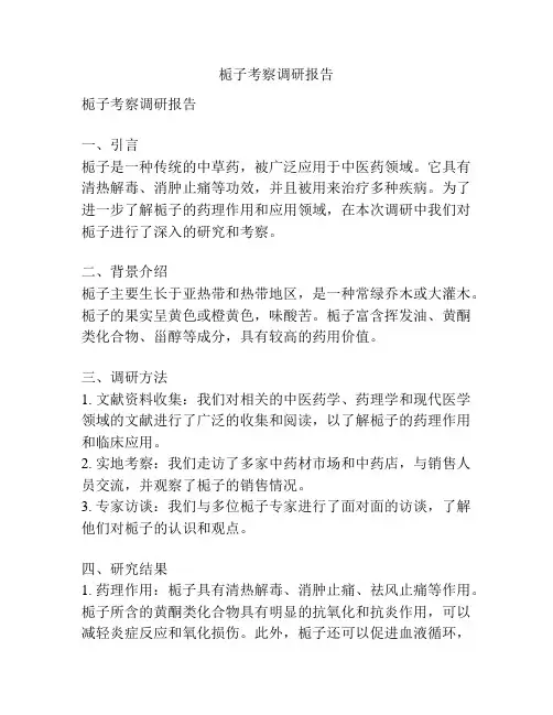 栀子考察调研报告