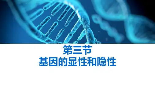 《基因的显性和隐性》PPT【67页】