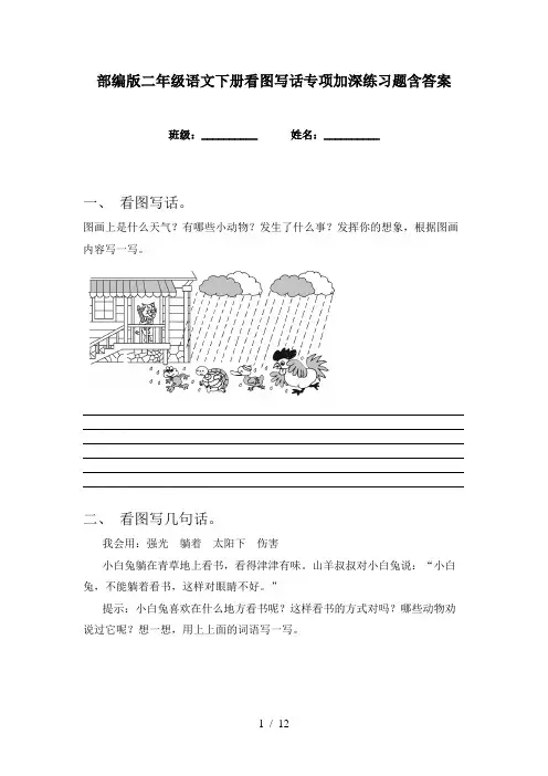 部编版二年级语文下册看图写话专项加深练习题含答案