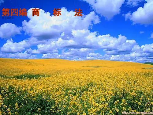 知识产权课件第十八和十九章